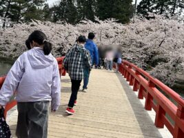 春のおでかけ♪ 弘前さくらまつり🌸